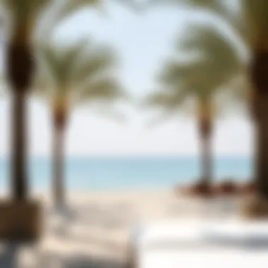 Tranquil Beach Area of Cove Rotana Resort Serene beach area with crystal-clear waters