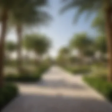 Lush Community Park in Damac Hills Elegant community park with lush greenery in Damac Hills