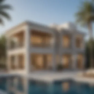 Investment Insights for Prospective Buyers Investment potential of District One Villas