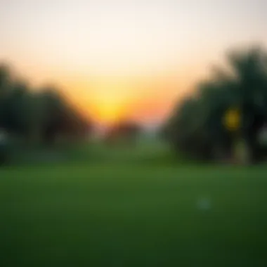 Manicured Fairways of Dubai's Premier Golf Course Beautifully manicured fairways and greens