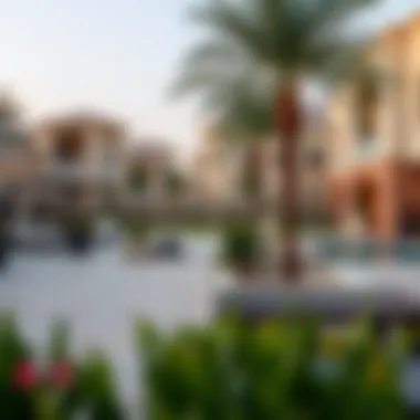 Upscale Amenities in Jumeirah Park Community amenities at Jumeirah Park Homes