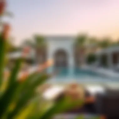 Exquisite outdoor pool and garden of a high-end mansion in Dubai