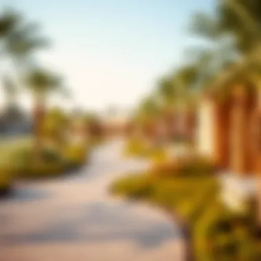 Community Amenities in Massar Community amenities including parks and recreational areas in Massar
