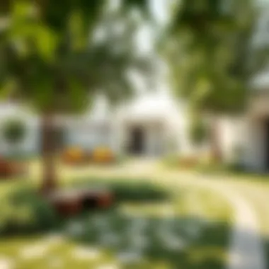 Sustainable Green Spaces in Massar Sustainable green spaces integrated within the Massar development