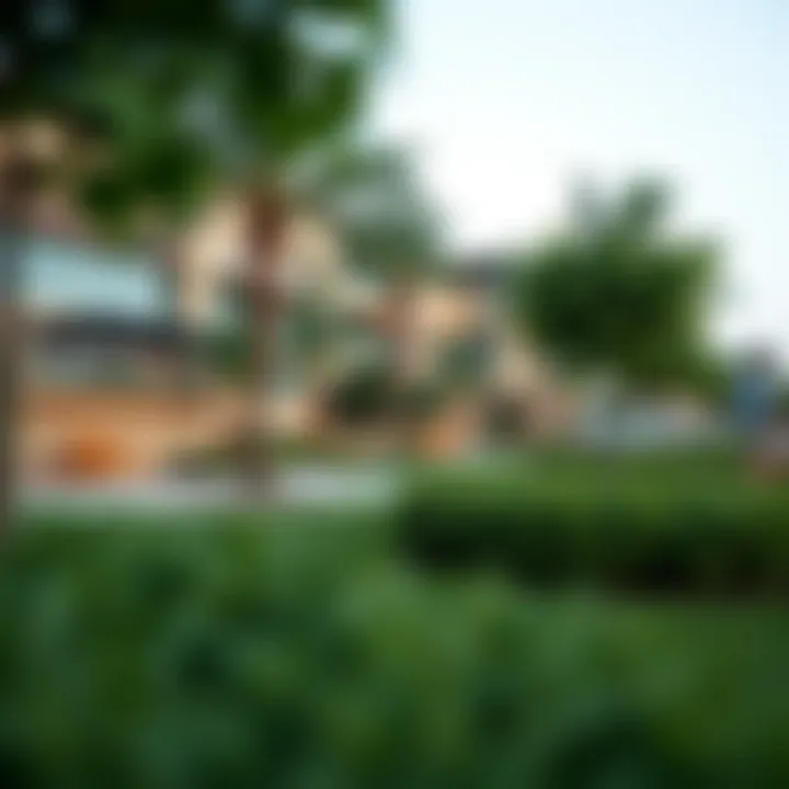 Community amenities in Nad Al Sheba 3 including parks and recreational areas