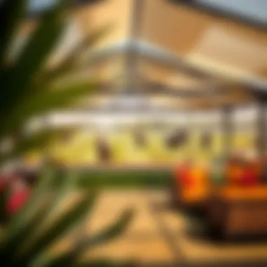 Exploring the Dubai Polo Club: A Hub for Sport and Luxury Summary Exploring the Dubai Polo Club: A Hub for Sport and Luxury Summary