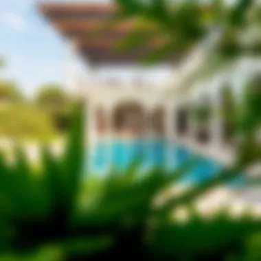 Lavish Villa Outdoor Pool A serene outdoor pool area of a lavish villa surrounded by lush greenery