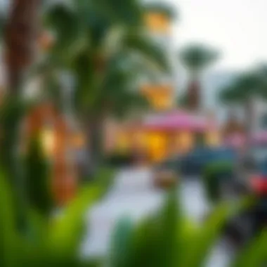 Community Vibes: The Heart of Jumeirah Living Vibrant community life in Jumeirah