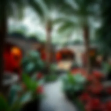 Exotic Aromas of Palm's Gardens Aromatic garden with exotic plants