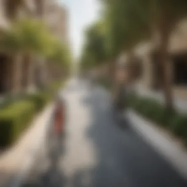 Promoting Sustainable Transportation: Bicycle-Friendly Pathways in Dubai Bicycle-friendly pathways in a vibrant Dubai neighborhood