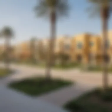 Community Amenities in Al Furjan Vibrant community park in Al Furjan neighborhood