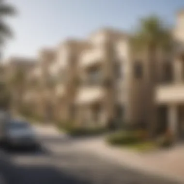Charming Neighborhoods of Dubai Villas Vibrant neighborhood showcasing Dubai villa community