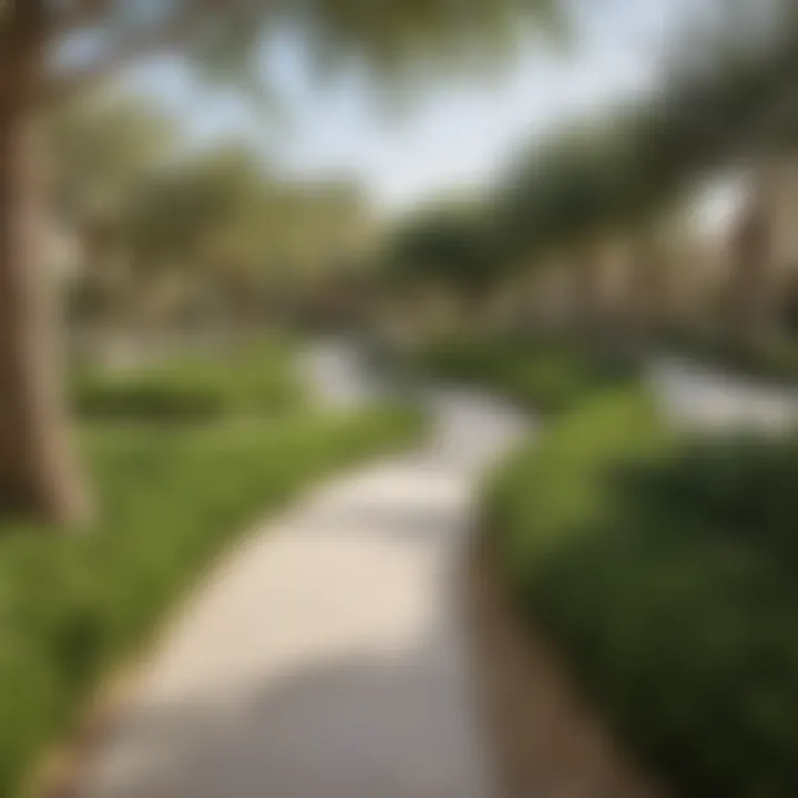 Beautiful community park in Springs Dubai with lush greenery and recreational areas