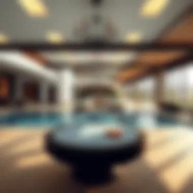 Amenities That Define Luxury Living Luxurious amenities highlighting the lifestyle in Expo Valley Villas