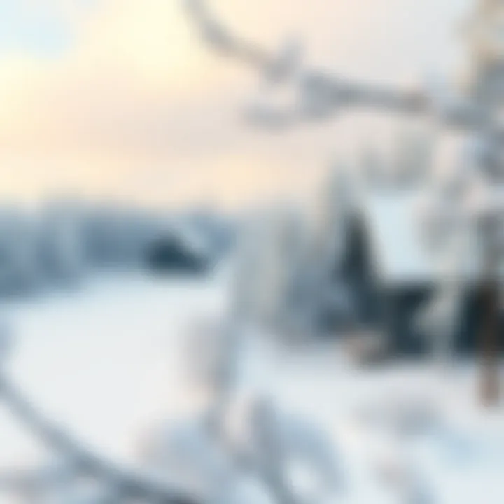Traditional Swedish landscape with snow-covered trees