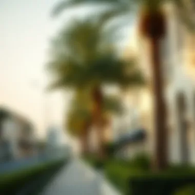 Tranquil Palm-Lined Streets of Dubai Serene neighborhood view with palm trees
