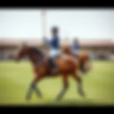Equestrian Training at the Polo Club Training session with horses, emphasizing equestrian skills