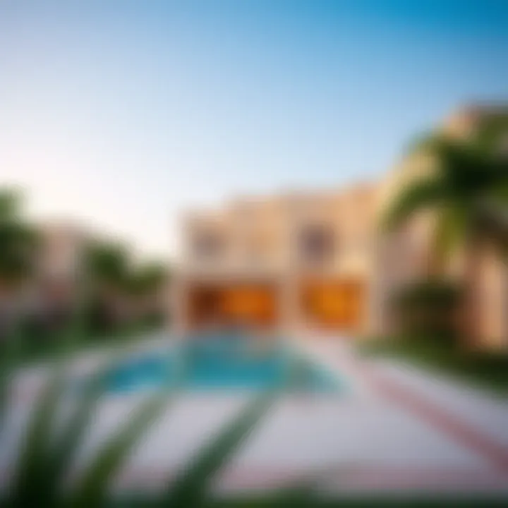The Villas of Dubailand: A Comprehensive Guide Summary