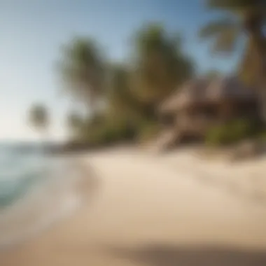 Serenity at the Beach on Palm Tree Island Tranquil beach on Palm Tree Island with pristine sands